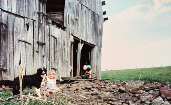two blond children and border collie playing in front of abandoned barn