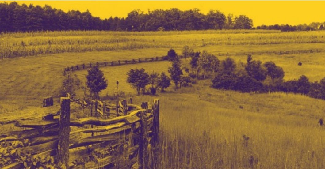 image of split rail fence crossing meadow with forest in the background